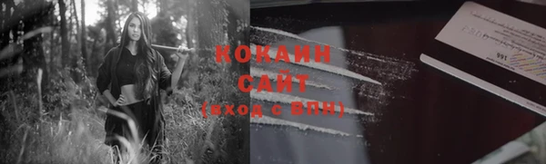 дживик Гусев