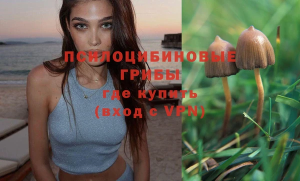гашик Горно-Алтайск