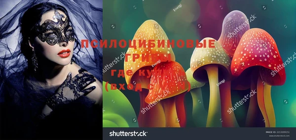 бутират Горнозаводск