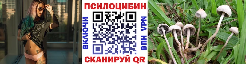 Галлюциногенные грибы GOLDEN TEACHER Купить Краснослободск