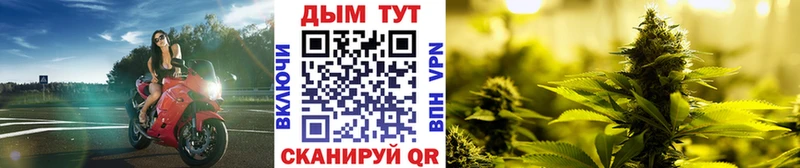 Купить закладки  Краснослободск  Шишки марихуана SATIVA & INDICA 